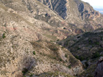 Grupo Mineralógico de Alicante. Cantera de Ofitas de los Serranos y sierra de Albatera  Alicante  