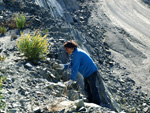 Grupo Mineralógico de Alicante. Cantera de Ofitas de los Serranos y sierra de Albatera  Alicante  