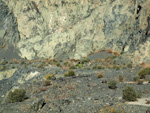 Grupo Mineralógico de Alicante. Cantera de Ofitas de los Serranos y sierra de Albatera  Alicante  