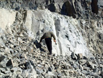 Grupo Mineralógico de Alicante.  Cantera de Ofitas de los Serranos y sierra de Albatera  Alicante  