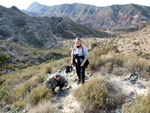 Grupo Mineralógico de Alicante. Cantera de Ofitas de los Serranos y sierra de Albatera  Alicante  