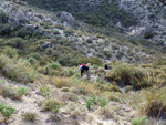 Grupo Mineralógico de Alicante. Cantera de Ofitas de los Serranos y sierra de Albatera  Alicante  