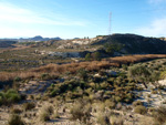 Grupo Mineralógico de Alicante. Barranco del Mulo. Ulea. Murcia  