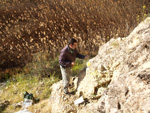 Grupo Mineralógico de Alicante. Barranco del Mulo. Ulea. Murcia  