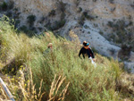 Grupo Mineralógico de Alicante. Barranco del Mulo. Ulea. Murcia  