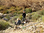 Grupo Mineralógico de Alicante. Barranco del Mulo. Ulea. Murcia  