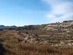 Grupo Mineralógico de Alicante. Barranco del Mulo. Ulea. Murcia  