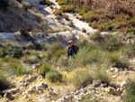 Grupo Mineralógico de Alicante. Barranco del Mulo. Ulea. Murcia  