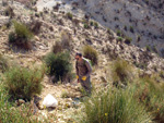 Grupo Mineralógico de Alicante.Barranco del Mulo. Ulea. Murcia  