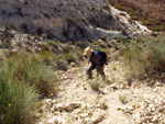 Grupo Mineralógico de Alicante. Barranco del Mulo. Ulea. Murcia  