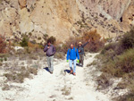 Grupo Mineralógico de Alicante.  Ópalo con Dendritas. Ojos. Murcia  