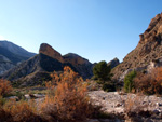 Grupo Mineralógico de Alicante.  Ópalo con Dendritas. Ojos. Murcia  