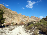 Grupo Mineralógico de Alicante.  Ópalo con Dendritas. Ojos. Murcia  