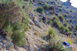 Grupo Mineralógico de Alicante. Barranco del Mulo. Ulea. Murcia  