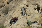 Grupo Mineralógico de Alicante. Barranco del Mulo. Ulea. Murcia  