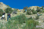 Grupo Mineralógico de Alicante. Barranco del Mulo. Ulea. Murcia  