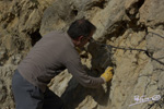 Grupo Mineralógico de Alicante. Barranco del Mulo. Ulea. Murcia  