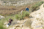 Grupo Mineralógico de Alicante. Barranco del Mulo. Ulea. Murcia  