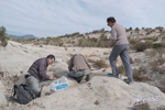 Grupo Mineralógico de Alicante. Barranco del Mulo. Ulea. Murcia  