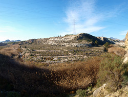 Grupo Mineralógico de Alicante. Barranco del Mulo. Ulea. Murcia  