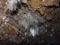 Grupo Mineralógico de Alicante.  Ópalo con Dendritas. Ojos. Murcia  