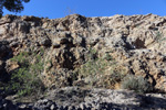 Grupo Mineralógico de Alicante.  Ópalo con Dendritas. Ojos. Murcia  