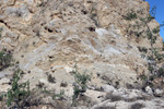 Grupo Mineralógico de Alicante.  Ópalo con Dendritas. Ojos. Murcia  