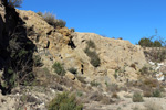 Grupo Mineralógico de Alicante.  Ópalo con Dendritas. Ojos. Murcia  