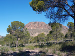 Grupo Mineralógico de Alicante. Pitón Volánico de Cancarix y Embalse de Camarillas. Hellín. Albacete   