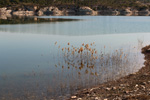 Grupo Mineralógico de Alicante.Pitón Volánico de Cancarix y Embalse de Camarillas. Hellín. Albacete   