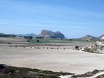 Grupo Mineralógico de Alicante.  Ópalo con Dendritas. Ojos. Murcia  