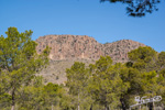 Grupo Mineralógico de Alicante. Pitón Volánico de Cancarix y Embalse de Camarillas. Hellín. Albacete   