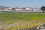 Grupo Mineralógico de Alicante. Pitón Volánico de Cancarix y Embalse de Camarillas. Hellín. Albacete   