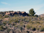 Grupo Mineralógico de Alicante. Minas Nuestra Señora del Carmen. La Celia. Jumilla. Murcia   