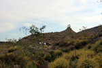 Grupo Mineralógico de Alicante. Cabezo Negro de Zeneta. Zeneta. Murcia  