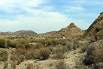 Grupo Mineralógico de Alicante. Cabezo Negro de Zeneta. Zeneta. Murcia  