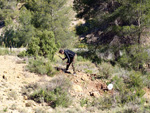 Grupo Mineralógico de Alicante. La Jabalina y Rambla Burete. Cehegín. Murcia   