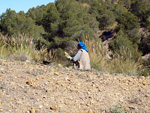 Grupo Mineralógico de Alicante. La Jabalina y Rambla Burete. Cehegín. Murcia   