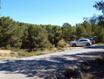 Grupo Mineralógico de Alicante. La Jabalina y Rambla Burete. Cehegín. Murcia   