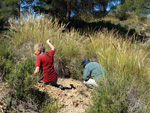 Grupo Mineralógico de Alicante. La Jabalina y Rambla Burete. Cehegín. Murcia   