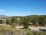 Grupo Mineralógico de Alicante. La Jabalina y Rambla Burete. Cehegín. Murcia   