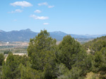 Grupo Mineralógico de Alicante. La Jabalina y Rambla Burete. Cehegín. Murcia   