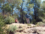 Grupo Mineralógico de Alicante. La Jabalina y Rambla Burete. Cehegín. Murcia   