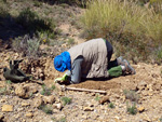 Grupo Mineralógico de Alicante. La Jabalina y Rambla Burete. Cehegín. Murcia   