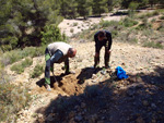 Grupo Mineralógico de Alicante. La Jabalina y Rambla Burete. Cehegín. Murcia   