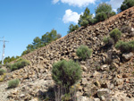 Grupo Mineralógico de Alicante.  Ojos. Murcia  