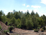 Grupo Mineralógico de Alicante.  Ojos. Murcia  