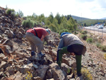 Grupo Mineralógico de Alicante.  Ópalo con Dendritas. Ojos. Murcia  