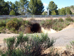 Grupo Mineralógico de Alicante.La Jabalina y Rambla Burete. Cehegín. Murcia   