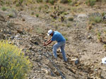 Grupo Mineralógico de Alicante. Cabezo Negro. Zeneta. Murcia  